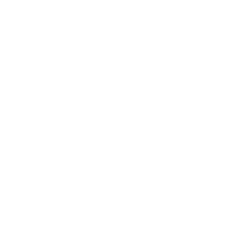 BİRLİKGİYİM